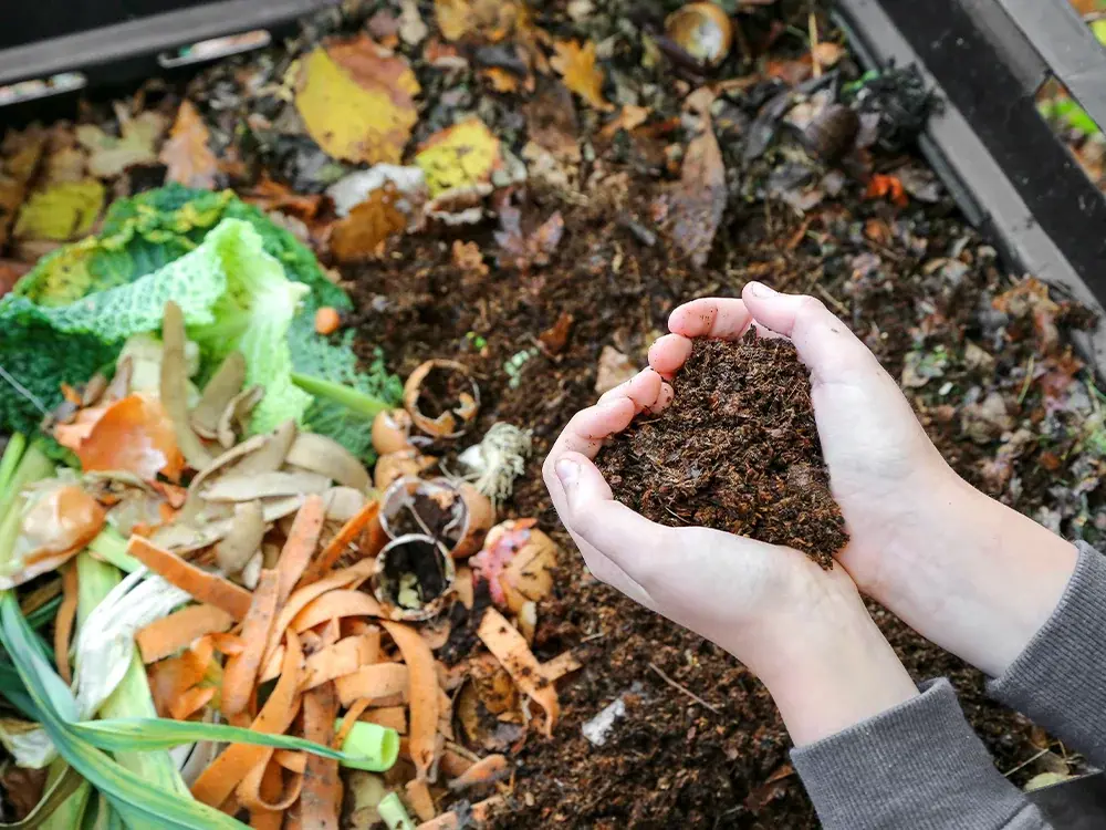compostbak-composteren