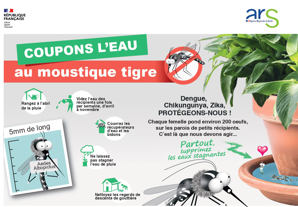 Carte_Postale_A5_Moustique_